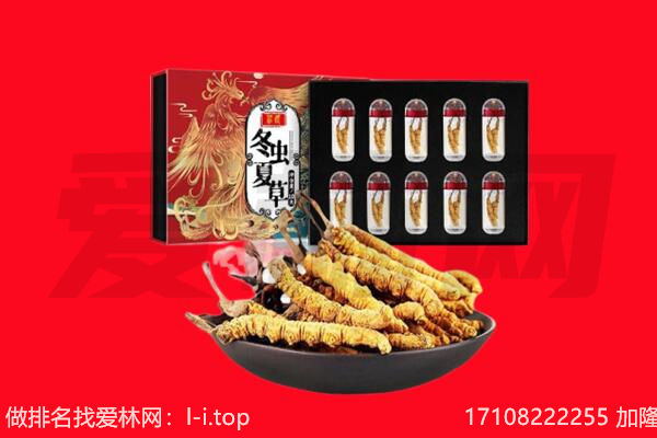 齐齐哈尔富裕回收虫草.jpg